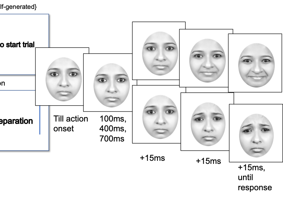 Emotion Perception & Social Interaction